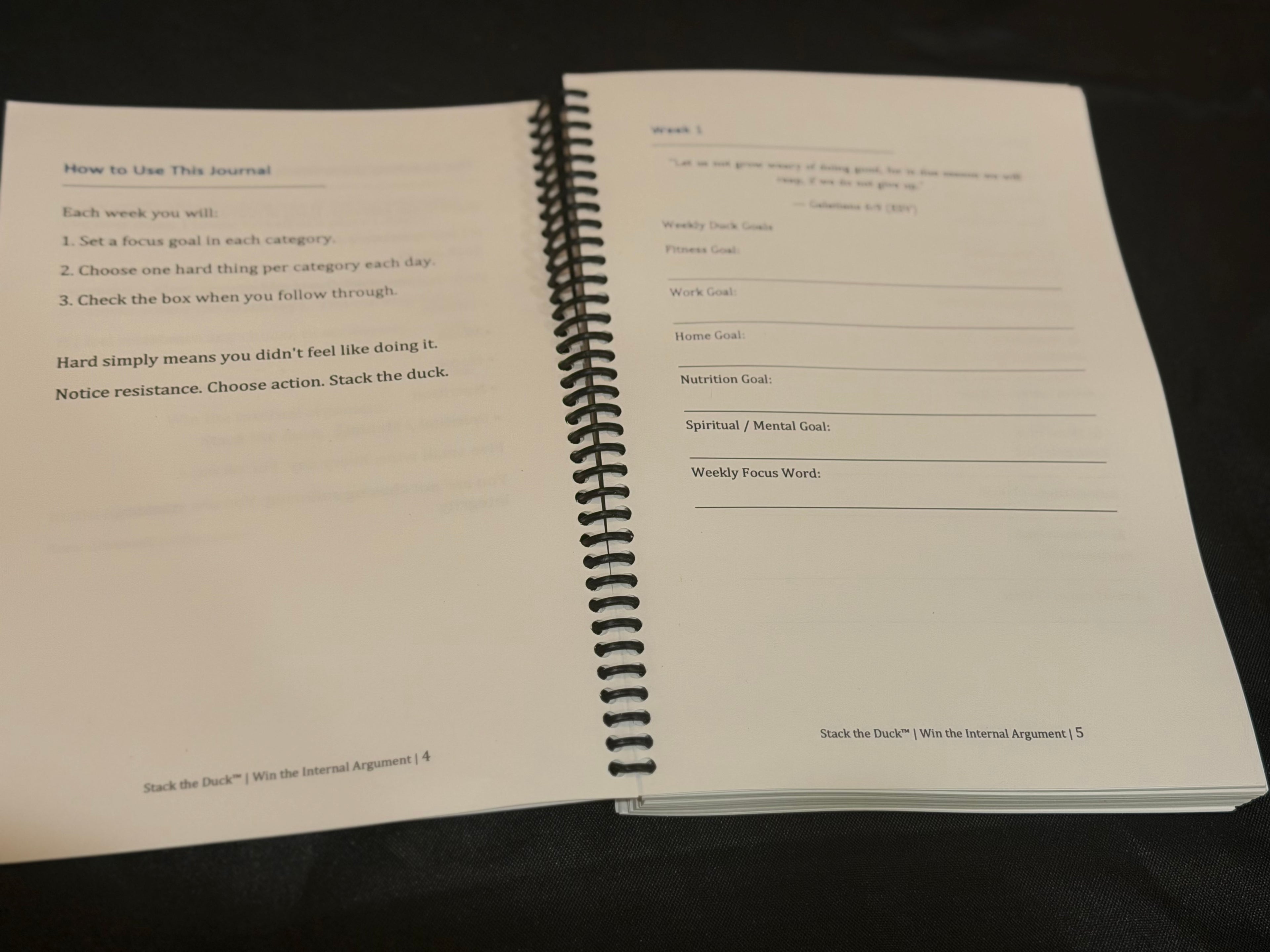 Stack the Duck 90-Day Journal