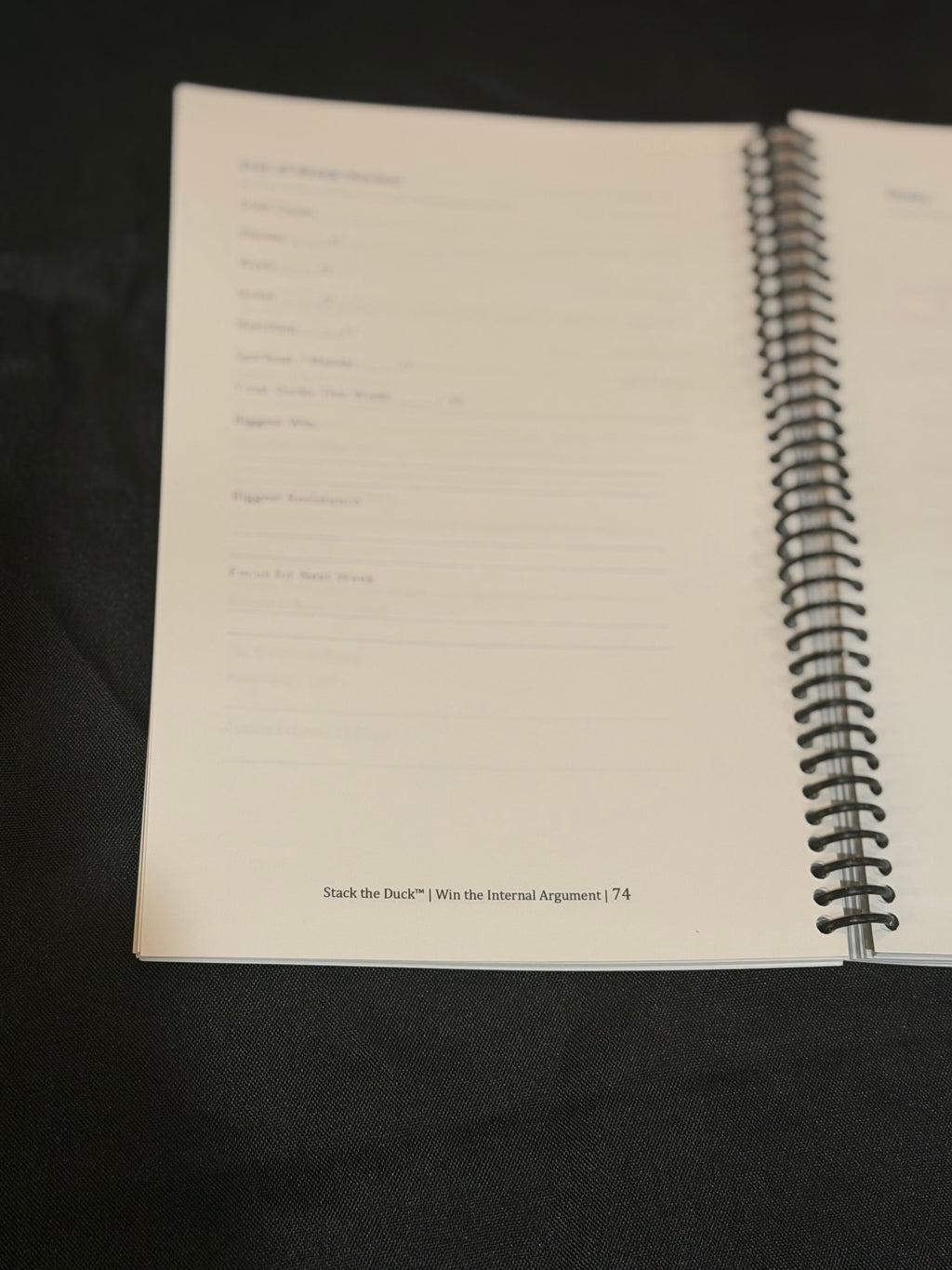 Stack the Duck 90-Day Journal